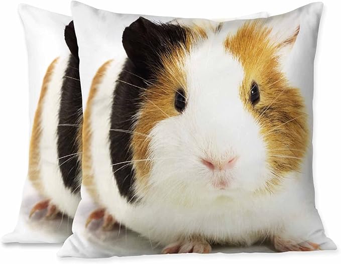 Throw Pillow Covers Funny Small Guinea Pig Sitting Pillowcase Decor for Room Bed Chair,18X8 Inch Set of 2