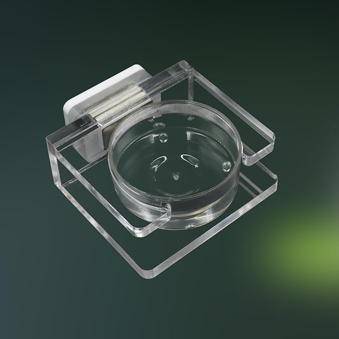 Jumping Spider Feeding Dish, Transparent Acrylic Magnetic Tiny Tarantula Food Bowl Water Dish, Enclosure Feeder Accessories for Jumping Spider Tarantula Small Spider - 2 × 1.8 Inch