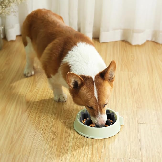 Soft Silicone Anti-Choking Puzzle Slow Feeder Insert for Dogs, Compatible with Regular Elevated Dog Bowls