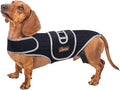 IVDD Dog Back Brace for Dachshunds & Slipped Disc | Post-Surgery Support & Arthritis Relief | Vet-Recommended Back Brace for Dogs | Breathable with Support Rods & Straps (Custom)