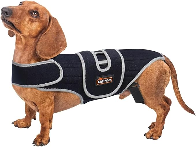 IVDD Dog Back Brace for Dachshunds & Slipped Disc | Post-Surgery Support & Arthritis Relief | Vet-Recommended Back Brace for Dogs | Breathable with Support Rods & Straps (Size L)