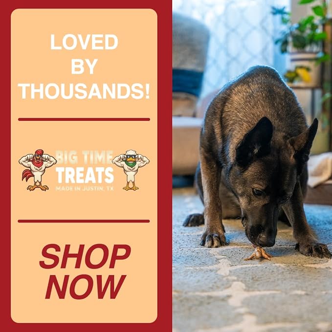 Chicken Feet Dog Treats - Single Bag - 15 Premium Extra Large Pieces - 100% Sourced and Made in USA
