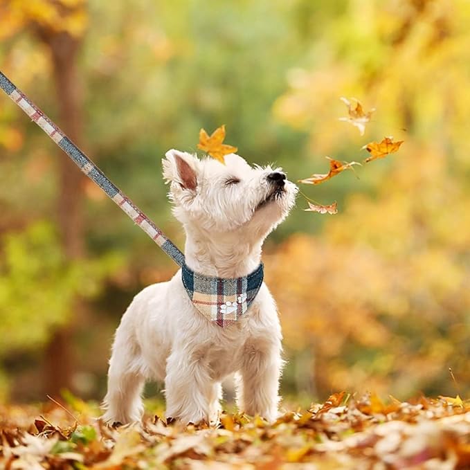 EXPAWLORER Puppy Collar and Leash Set - Embroidered Pawprints Plaid With Bow Tie, Bandana, and Bell for Dogs Cats Outdoor Walking, Khaki XS