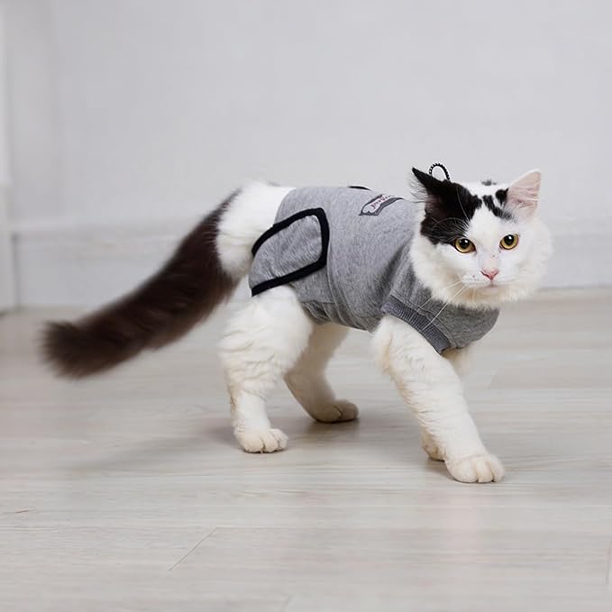 DogLemi Cat Surgery Recovery Suit Male Female Universal Breathable Pure Cotton Cat Onesie After Spay Neuter Soft Kitten Cloth Wear for Surgical Abdominal Wound Skin Diseases Cone Alternative (XXS)