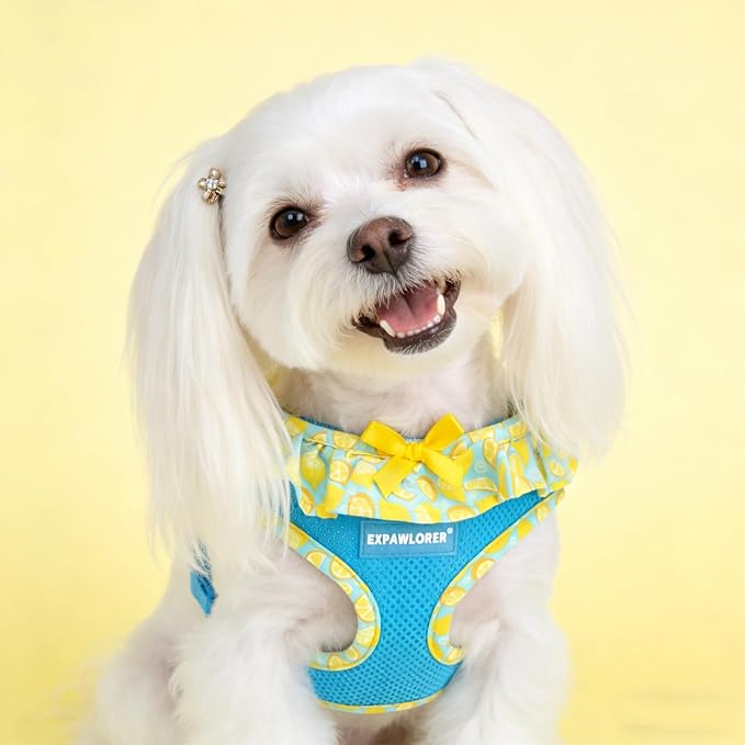 EXPAWLORER Cute Dog Harness Collar Leash Set - Blue Girl Dog Harness Checkered Step-in Design, Adjustable No-Choke Lightweight Mesh Vest for Cats Puppy Small Dogs, Lemon S