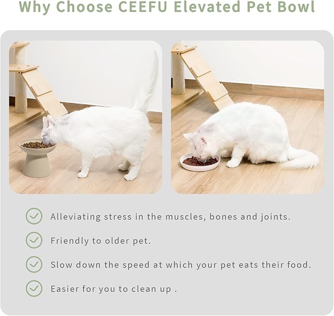 CEEFU Extra Wide Elevated Ceramic Cat Bowl - 6.2" Shallow Dish for Whisker Fatigue Relief, 5" Height for Easy Feeding, Lead & Cadmium Free, Durable Raised Cat Food Bowls, Pottery Clay (Not Glazed)