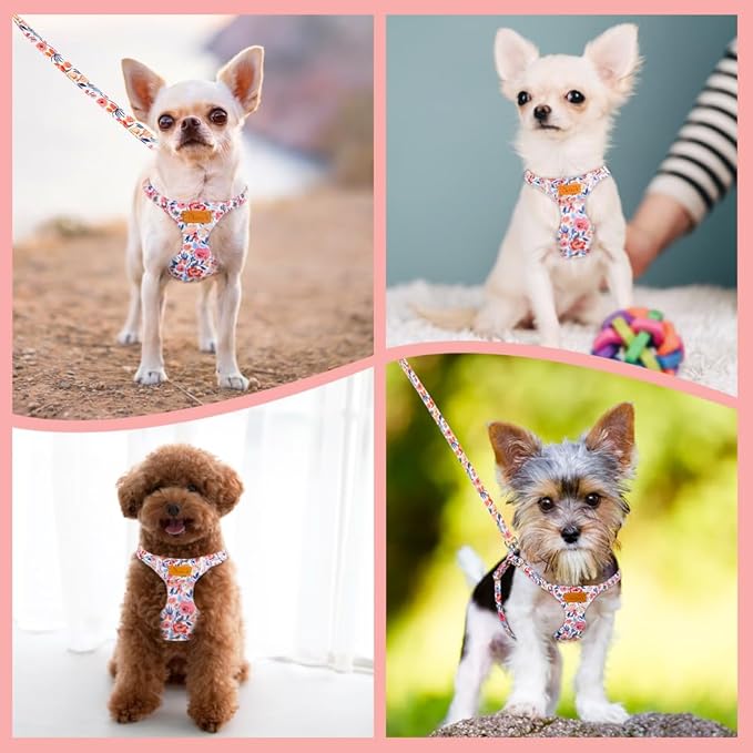 SlowTon No Pull Dog Harness with Leash - Soft Lightweight Floral Pattern Puppy Harness, Adjustable Pet Harness for Small Medium Dogs Pupppy (Flower M)