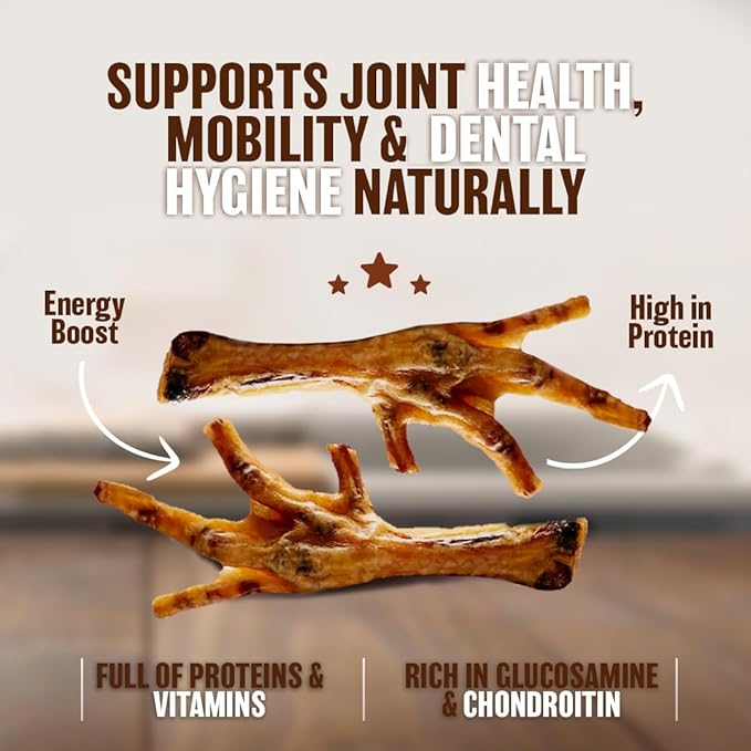 Dehydrated Chicken Feet for Dogs - Single Ingredient Dog Chews - Made in USA - 100% Digestible Chicken Foot Treats - Natural Dog Treats - Dried Chickens Treat for Dogs - 24 Count