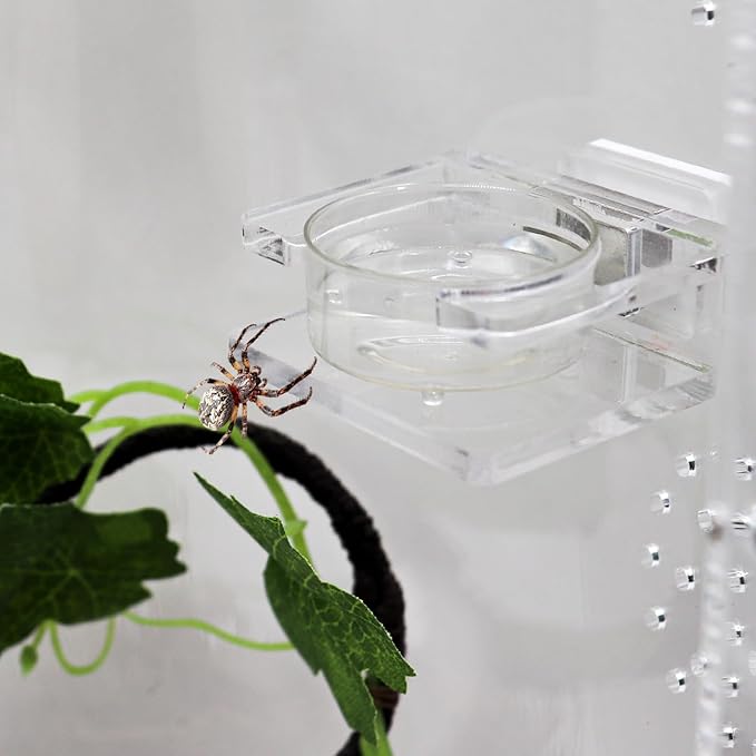 2 Pack Jumping Spider Feeding Dish - Transparent Acrylic Magnetic Tarantula Food Bowl and Water Dish - Enclosure Accessories for Small Spiders