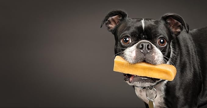 peaksNpaws Yak Cheese Himalayan Dog Chews, High Protein, Natural Dog Treats, Lactose Free, Chew Sticks for Aggressive Chewers, Long Lasting Pet Treat for Small, Medium & Large Dogs, Small 10 Chews