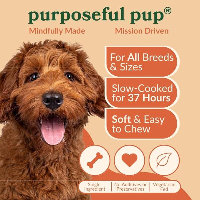 Beef Sausage Dog Treats, 10 Pack – All Natural, Single Ingredient, Grain-Free Chews for Dogs | Premium European Quality | High-Protein, Air-Dried, Healthy Snack