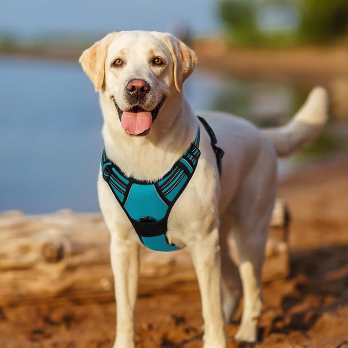 rabbitgoo Dog Harness No Pull with 2 Leash Clips, Adjustable Soft Padded, Reflective Oxford No Choke Pet Vest with Easy Control Handle for Large Dogs, Teal, XL