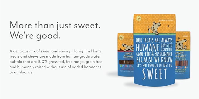 Honey I'm Home Natural Honey Coated 10" Collagen Roll Buffalo Treats, 3 Count