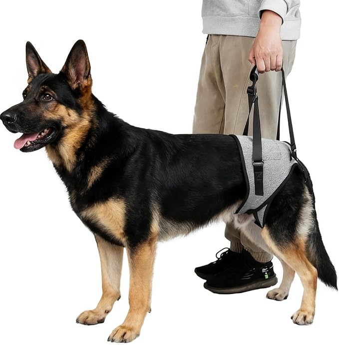 Dog Lift Harness for Dogs, Support Harness for Back Legs, Adjustable Rear Support Harness Grey Medium