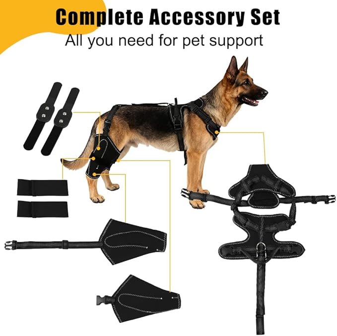 Vivifying Dog Hip & Leg Support Harness for Mobility Assistance, Adjustable Rear Leg Brace with Lift Handle for Injured or Senior Dogs, Joint Stabilizing Hind Leg Support for Walking, Recovery (XL)