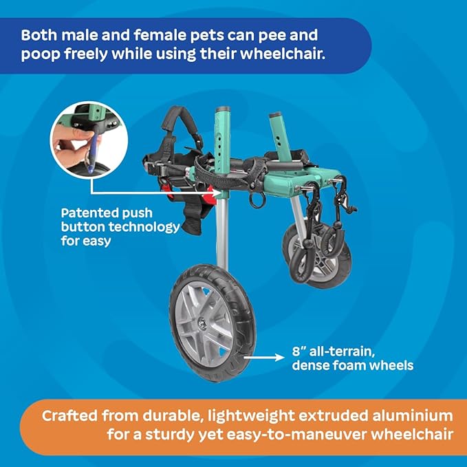 Walkin' Wheels Small Dog Wheelchair, Lightweight Dog Wheelchair for Back Legs, 15-25 lbs, for 6-8 inches Leg Height - Seafoam