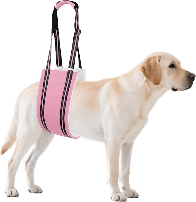 AIITLE Dog Lift Harness for Large Dogs - Adjustable Hind Leg Pet Sling for Elderly/Disabled Dogs, Orthopedic Rehab Aid with Plush Padding & Reflective Straps, Helps Stairs/Car Access (Pink, XL)