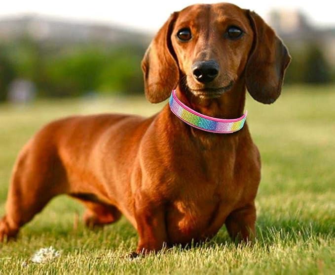 Cute Dazzling Sparkling Elegant Fancy Soft Suede Leather Bling Rhinestone Crystal Jeweled Pet Cat Dog Puppy Collar Dog Leash Combo Set (L, Hot Pink-3)