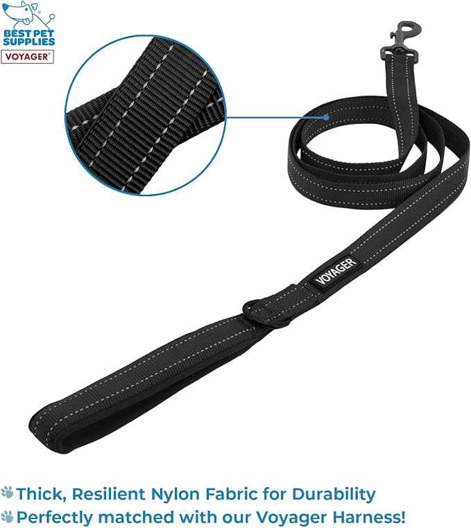 Voyager Step-in Air All Weather Mesh Harness and Reflective Dog 5 ft Leash Combo with Neoprene Handle, for Small, Medium and Large Breed Puppies by Best Pet Supplies - Orange, Small