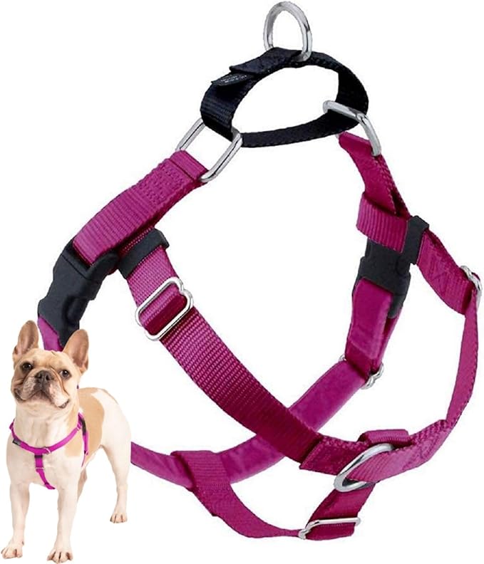 2 Hounds Design Freedom No Pull Dog Harness, Adjustable Harness, Easy Walking & Comfortable Control, Fits Small, Medium & Large Dogs, Solid Colors, Made in USA, 5/8" MD, Raspberry