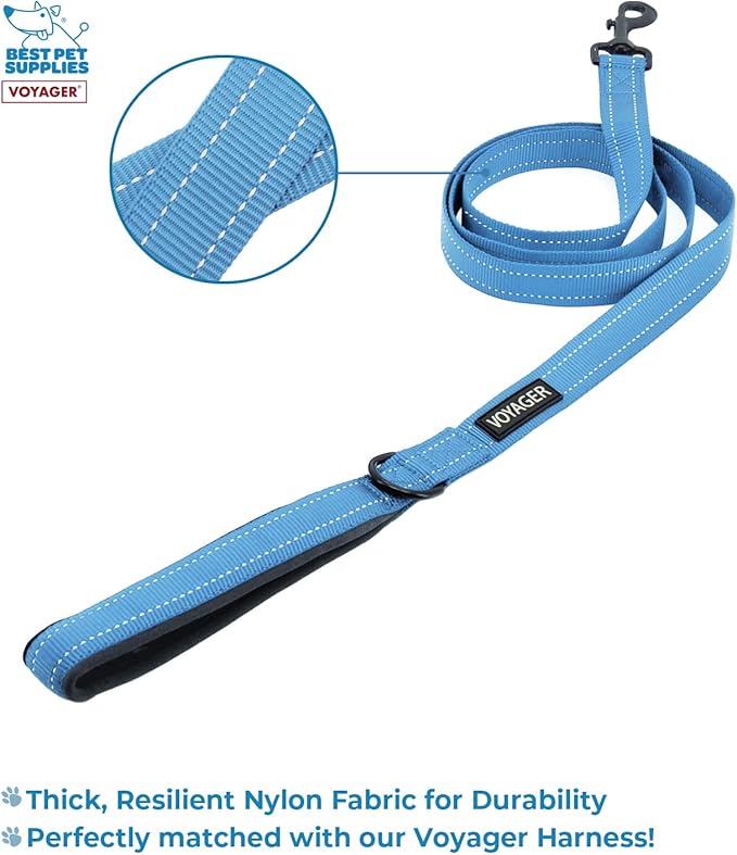 Voyager Step-in Air All Weather Mesh Harness and Reflective Dog 5 ft Leash Combo with Neoprene Handle, for Small, Medium and Large Breed Puppies by Best Pet Supplies - Blue, XX-Small
