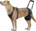CHAMIN Dog Hip Brace with Back Handheld Design, Support for Hip Dysplasia, Arthritis, Back Leg limping, Reduce Hip Pain & Accelerated Recovery After Surgery etc(Extra Large)
