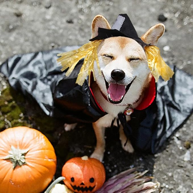 NAMSAN Halloween Cat Costume, Small Dogs Scarecrow Hat with Wig, Pet Wig Scarecrow Hat Outfit for Kitten Puppy Statue Toys Decoration, Festival Cosplay Apparel