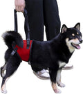 Dog Lift Harness, Dog Sling for Large Dogs Hind Leg Support, Adjustable Soft Padded Rehab Harness for Weak Rear Legs Elderly Injured Disabled Arthritic Dogs