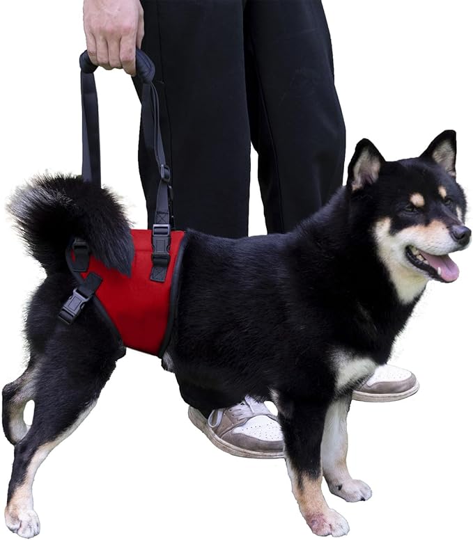 Dog Lift Harness, Dog Sling for Large Dogs Hind Leg Support, Adjustable Soft Padded Rehab Harness for Weak Rear Legs Elderly Injured Disabled Arthritic Dogs