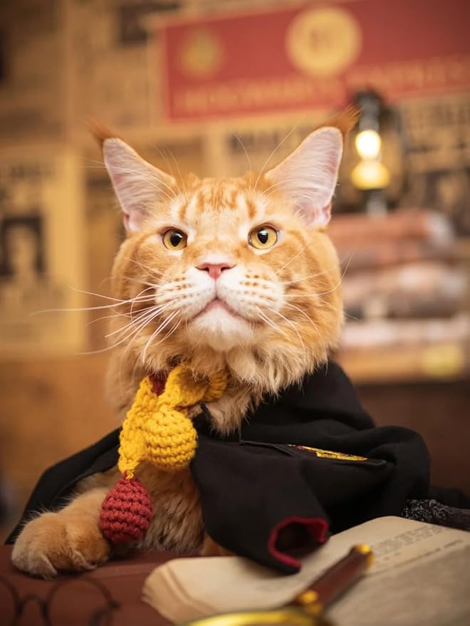 Dog Cat Costumes with Glasses and Neckties,Cosplay Costume Set Perfect for Party and Gifts for Cat Dog (Gryffindor, Small)