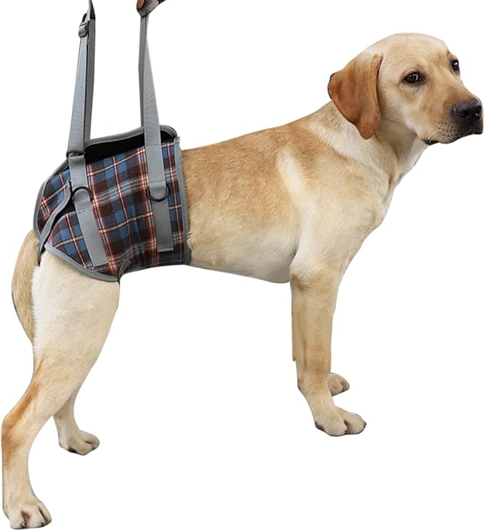Dog Lift Harness, Adjustable Rear Leg Support Sling with Breathable Polyester, Mobility Aid for Disabled and Senior Dogs (XL (30‑40kg / 66.1‑88.2lb Recommended))