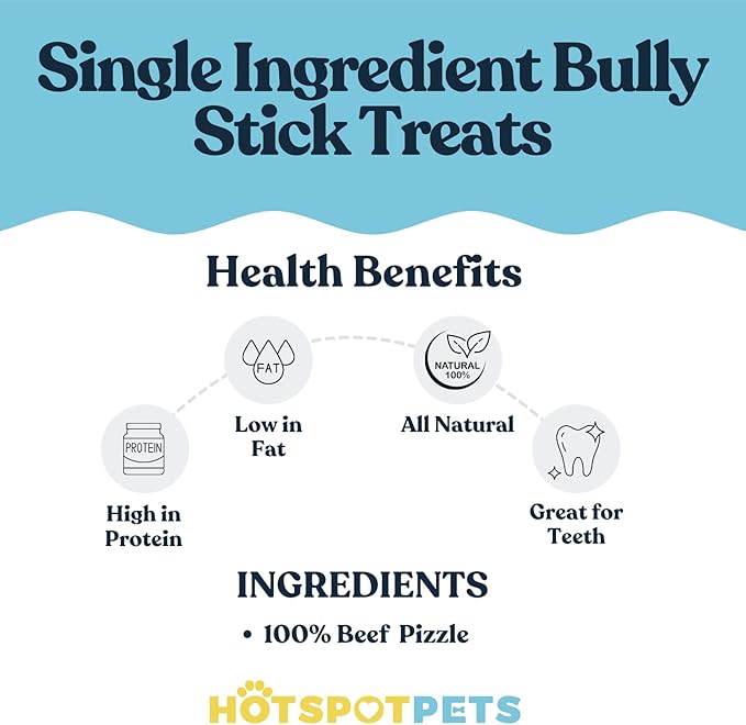 hotspot pets Curly Spring Bully Sticks for Dogs - (12 Pack) Premium All Natural Long Twisted Beef Pizzle Dog Chew Treats - Grain Free Fully Digestible Rawhide Alternative Snack - 6 Inch
