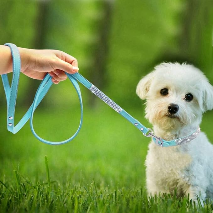 Cute Dazzling Sparkling Elegant Fancy Soft Suede Leather Bling Rhinestone Crystal Jeweled Pet Cat Dog Puppy Collar Dog Leash Combo Set (XXS(Neck 6-8"), Light Blue)