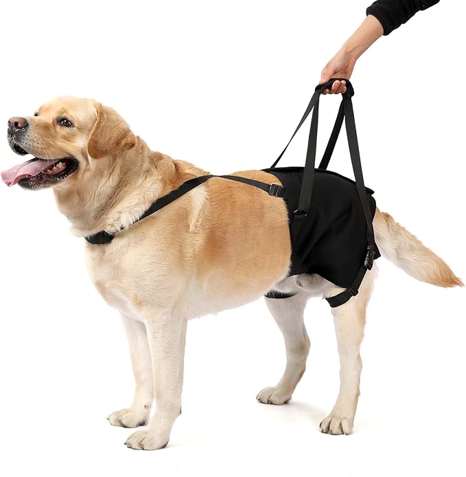 NOYAL Supet Dog Lift Sling for Large Dogs – Hind Leg Support Harness for Senior, Injured, Disabled Dogs, Rear Leg Mobility Aid, Padded Handle for Stairs, Car, Walk