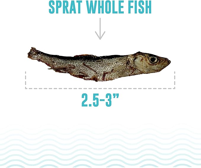 Icelandic+ Whole Fish: Sprat - 2oz Bag - Dog Treats, Wild- Caught, 2.5-3" Crunchy Air-Dried Pet Snacks, Single Ingredient, Just The Fish Nothing Else (Pack of 2)