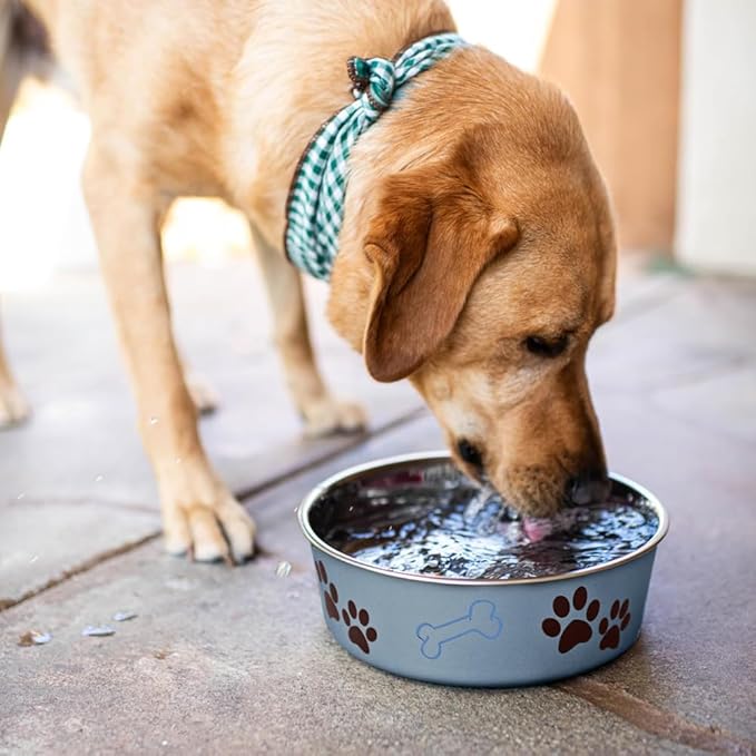 Loving Pets Bella Dog Bowls- Stainless Steel Dog & Cat Bowls - Spill Proof Dog Food Bowl, Cat Bowl, Puppy Essentials & Pet Supplies Great for Home & Travel (Small 10-20 lbs, Blueberry)
