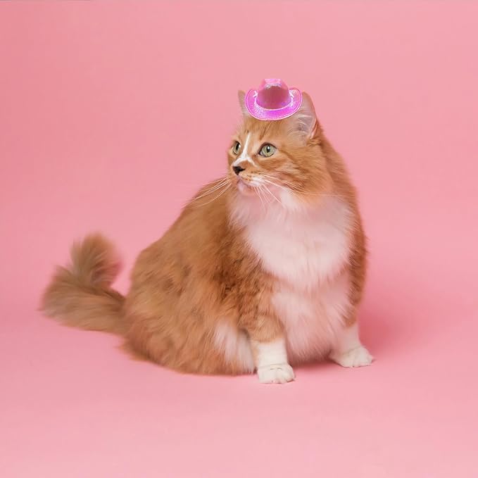 Dog and Cat Cowboy Hat With Bandana Scarf - Mini Pet Costume for Holiday, Halloween, Party Decoration (Pink-style2, Small)