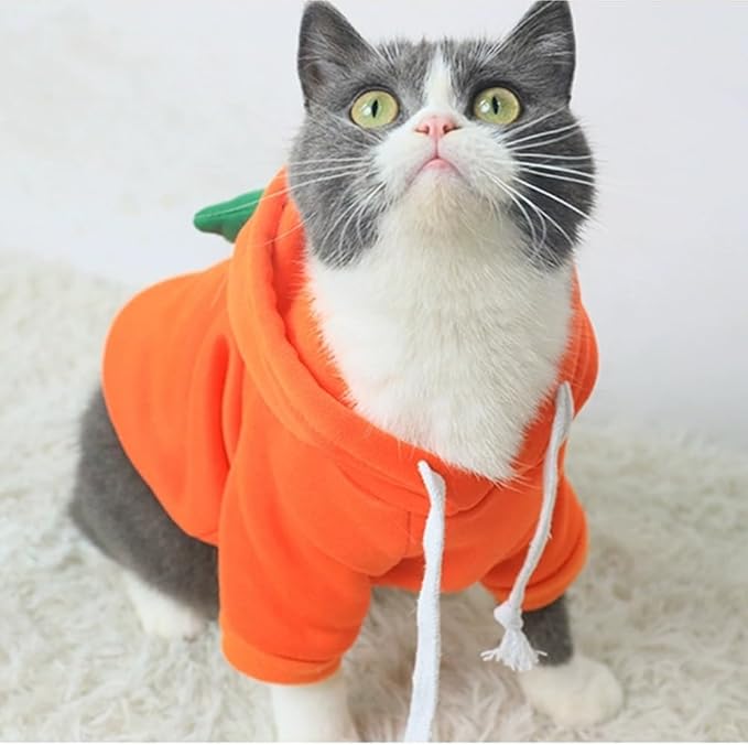 ANIAC Funny Pet Clothes for Small Dog Cat Carrot Dog Hoodies Warm Puppy Sweatshirt Coat with Fruit Hood Fall Cat Sweater Halloween Outfit Easter Dog Carrot Costume (Orange, XX-Large)