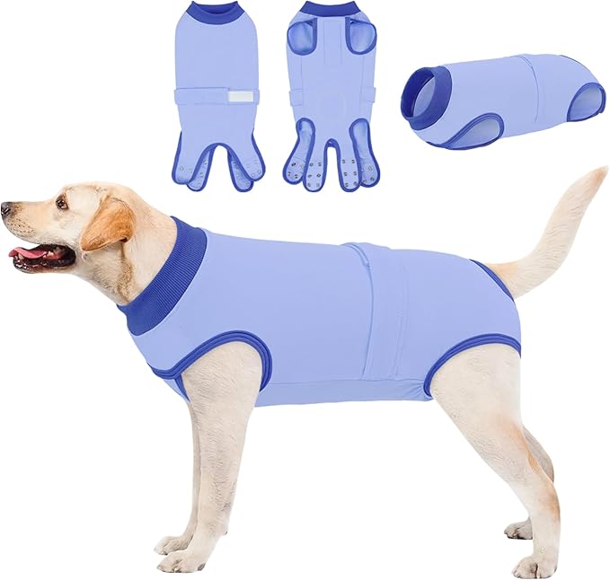 Queenmore Recovery Suit for Dogs Cats After Surgery, Dog Surgical Recovery Suit, Professional Pet Surgical Siut, Prevent Licking Dog Body Suits, Surgical Clothes for Abdominal Wounds, Sky Blue,2XL