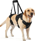 NOYAL Dog Lift Harness for Senior & Injured Pets – Full-Body Support Sling with Breathable Mesh, Front/Rear Leg Assist for Arthritis, Hip Dysplasia & Post-Surgery Recovery (Medium-Large Breeds)