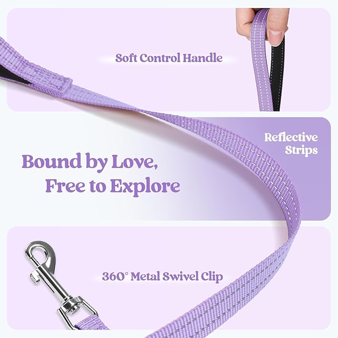 rabbitgoo Dog Harness Small Medium Sized and Leash Set, Step in Soft Light Puppy Vest, Breathable Mesh Pet Harness, Reflective for Safe Easy Walking, Light Purple XL
