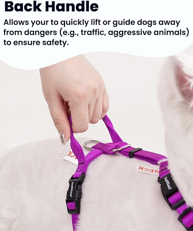 Non Restrictive Dog Harness, Easy Walk, Freedom No Pull Harness, Keep Balance, Lightweight, Neck Buckle, 2 Clips for Back/Front Clip, Sewn-in Instructions Labels for Easy Use (Purple, X-Small)