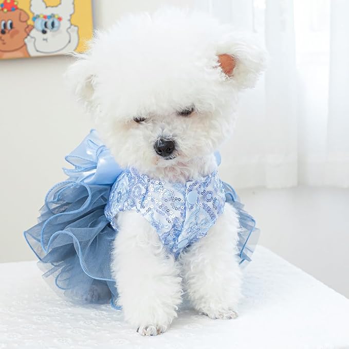 ANIAC Blue Cat Wedding Dress with Bow Knot Dog Wedding Outfit Formal Puppy Clothes for Girl Small Dog Luxury Pet Party Dress for Kitten Chihuahua Yorkie Pomeranian (Blue-2, Small)