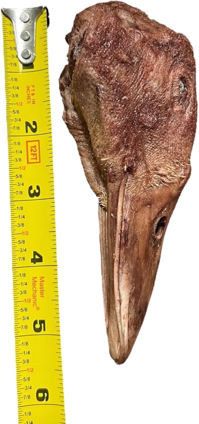 Duck Heads for Dogs - Freeze Dried Duck Heads Chews for Dog Treats- Single Ingredient- Highly Digestible- Teeth Cleaning Dog Chew for Dogs - Raw Hide Alternative (4 Count)
