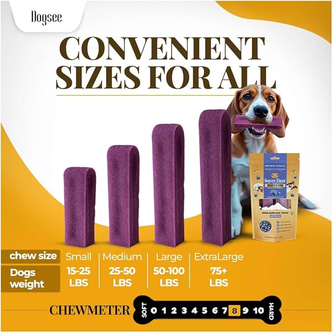 Dogsee Blueberry Flavor Himalayan Yak Cheese Dental Chews for Dogs - (Medium 6)| Dog Treats Healthy | Cleans Teeth & Freshens Breath | No Grain, No Gluten | Dog Chews Rawhide Free