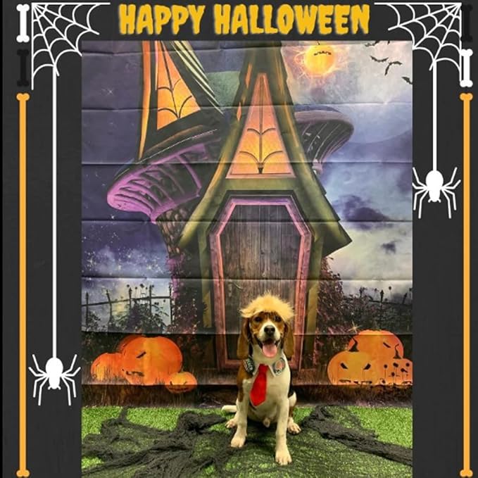 Trump Style Pet Costume Dog Wig, Dog Clothes with Collar & Tie Head Wear Apparel Toy for Halloween, Christmas, Parties, Festivals (Brown with Tie)