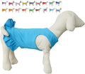 Pet Clothes Small Dog Clothing Blank Color Sport Dress T-Shirts Tee Dresses Tanks Top for Small Size Female Dogs Summer Spring Pet Costumes 100% Cotton (XL, Lake-Blue)