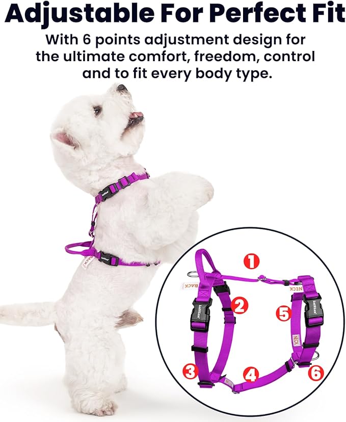 Non Restrictive Dog Harness, Easy Walk, Freedom No Pull Harness, Keep Balance, Lightweight, Neck Buckle, 2 Clips for Back/Front Clip, Sewn-in Instructions Labels for Easy Use (Purple, X-Small)