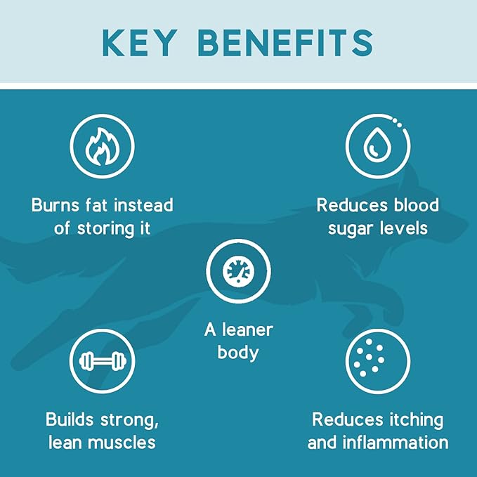 Ketona Salmon Recipe Adult Dry Dog Food, Natural, Low Carb (Only 5%), High Protein (46%), Grain-Free, The Nutrition of a Raw Diet with The Cost and Convenience of a Kibble; 24.2 lb