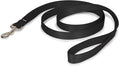 PetSafe Nylon Dog Leash – Strong, Durable, Traditional Style Leash with Easy to Use Bolt Snap for Small, Medium and Large Dogs – 1" x 6', Black
